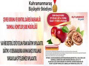 Büyükşehir'den Kuzey İlçelerine fidan desteği