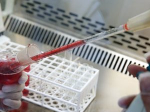 ÇÜ'de bilim insanları yapay kan üretti