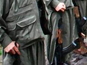 31 teröristin cesedi bulundu