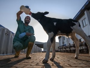 "Tarım ve İnsan" fotoğraf sergisi Kahramanmaraş'ta