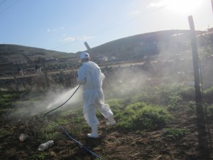 Büyükşehir Mezarlıklara bakımı sürdürüyor