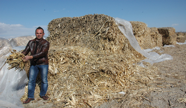 SAMAN ÇOK, ALAN YOK