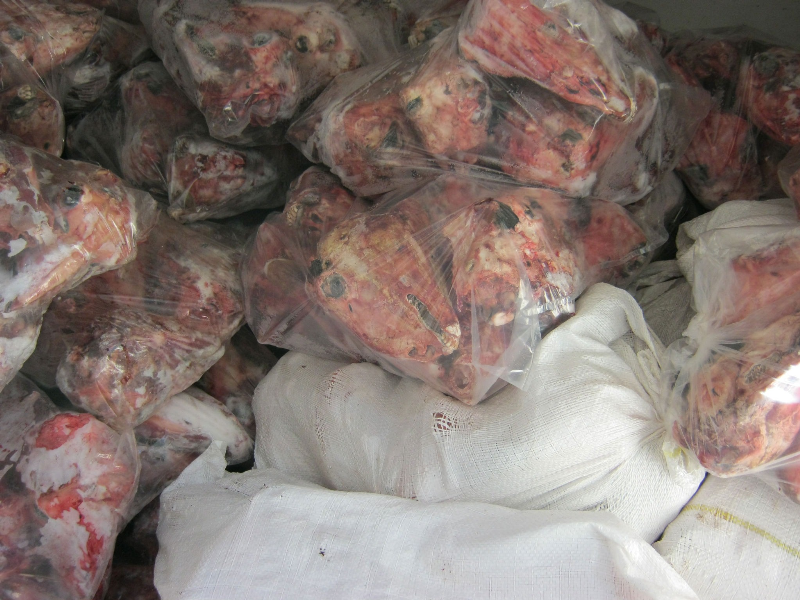 GÖKSUN'DA KAÇAK KELLE OPERASYONU