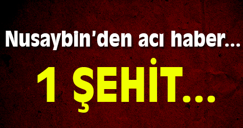 Nusaybin'den acı haber...
