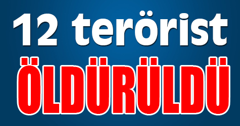 12 terörist öldürüldü