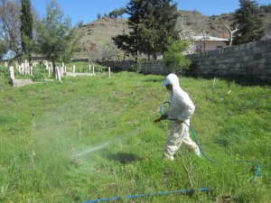 Mezarlıklara bakım sürüyor