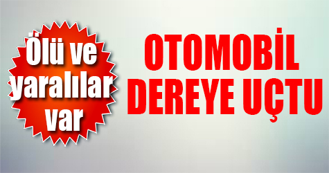 Otomobil dereye uçtu! Ölü ve yaralılar var