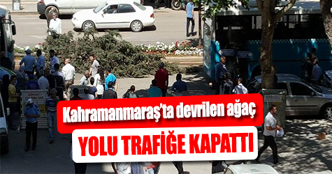 Ağaç devrildi, yol trafiğe kapandı