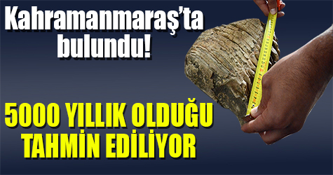 Kahramanmaraş'ta bulunan kemik o hayvan türüne mi ait?