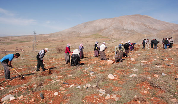 ŞARDAĞI PROJESİNE 1 MİLYON FİDAN DAHA