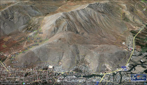 ŞARDAĞI AĞAÇLANDIRMA PROJESİ GENİŞLETİLECEK