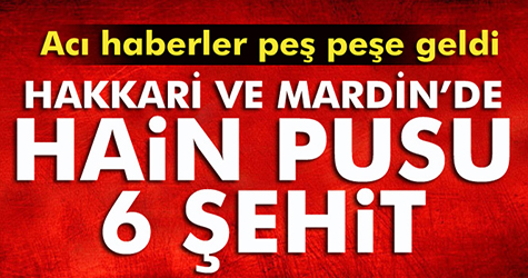 Hakkari ve Mardin’de hain pusu: 6 şehit