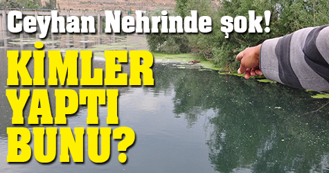 Ceyhan Nehrinde şok! Kimler yaptı bunu