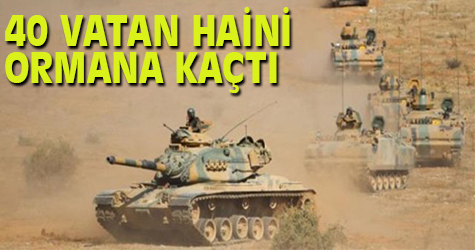 40 vatan haini ormana kaçtı