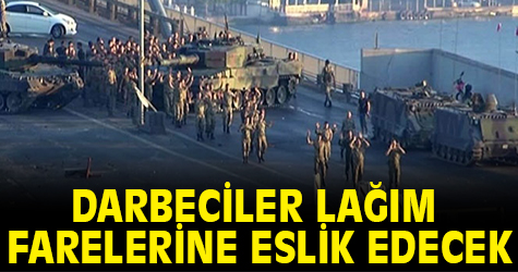 Cuntacılara lağım fareleri eşlik edecek