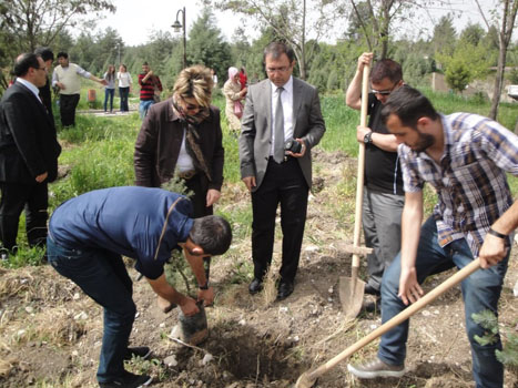 KSÜ ÖĞRENCİLERİ FİDAN DİKTİ