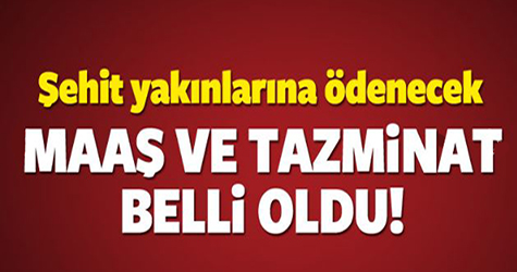 Şehit yakınlarına ödenecek maaş belli oldu