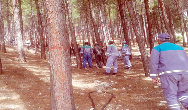 ORMAN YANGININA HIZLI MÜDAHALE