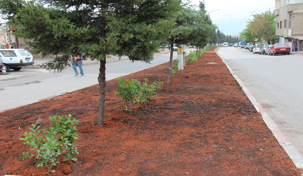 FETİH BULVARI YENİDEN DÜZENLENDİ, PARKE TAŞLAR SÖKÜLDÜ