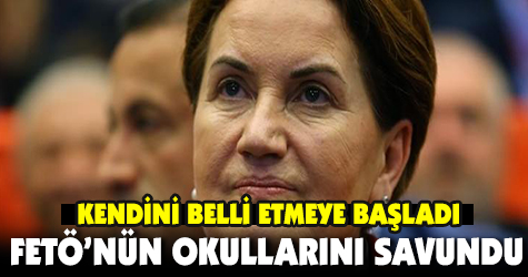 Akşener FETÖ'nün okullarını savundu
