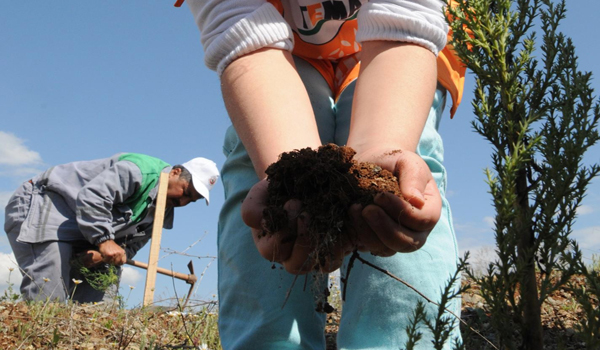 PEYGAMBER SEVGİSİYLE FİDAN DİKTİLER