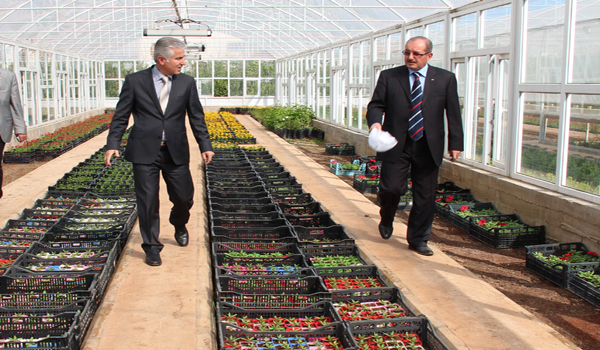 VALİ KOCATEPE SERAYI İNCELEDİ