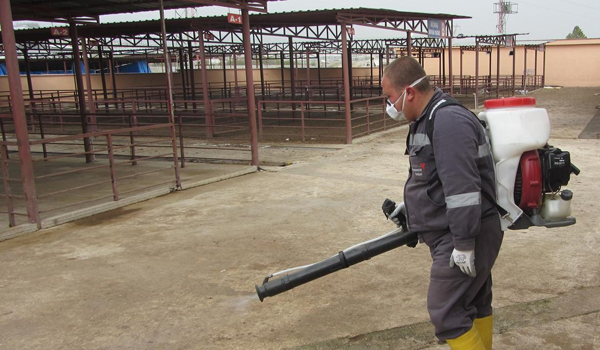 KAHRAMANMARAŞ BELEDİYESİ İLAÇLAMA ÇALIŞMALARINA DEVAM EDİYOR