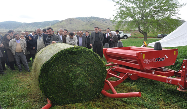 YONCA TARIMI İLE HAYVANCILIK KOLAYLAŞIYORYONCA TARIMI İLE HAYVANCILIK KOLAYLAŞIYOR
