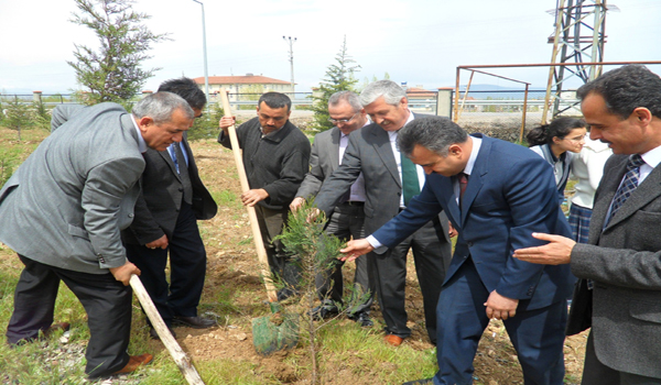 OKUL BAHÇELERİNE FİDAN DİKİLDİ