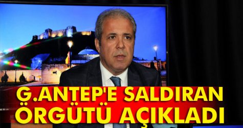 Tayyar, DEAŞ terör örgütünü işaret etti