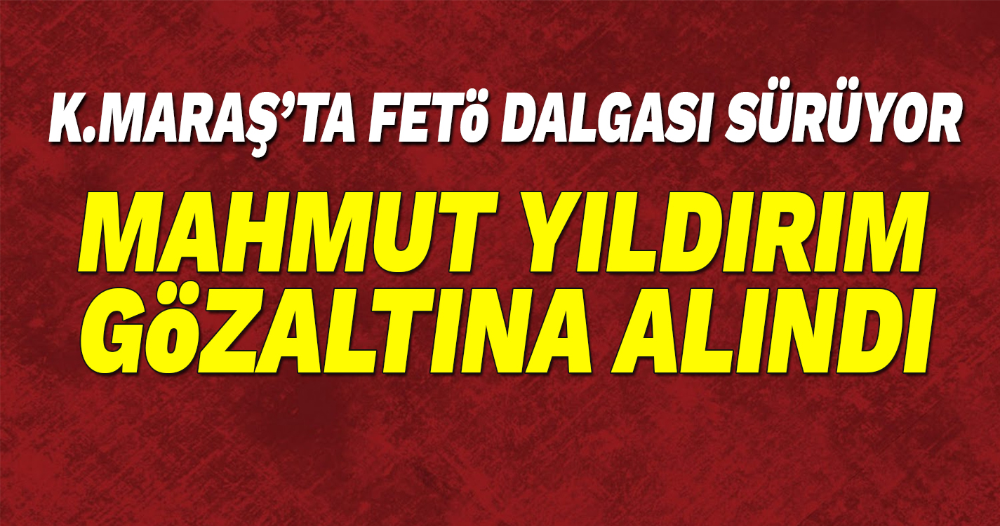 Mahmut Yıldırım ve 30 kişi gözaltına alındı