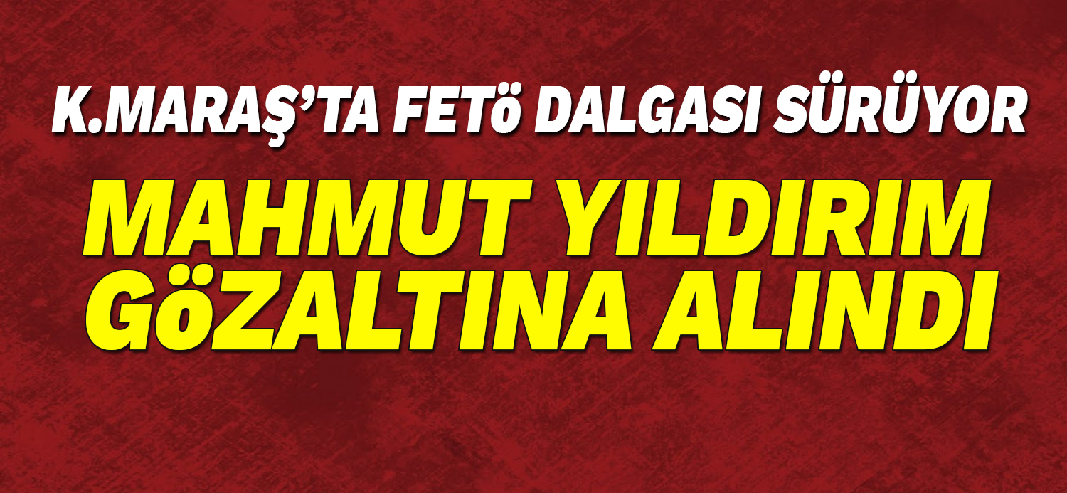 Mahmut Yıldırım ve 30 kişi gözaltına alındı