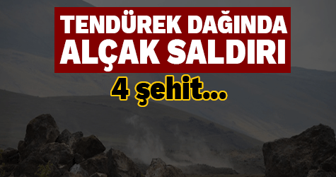 Tendürek Dağı'nda alçak saldırı! 4 şehit