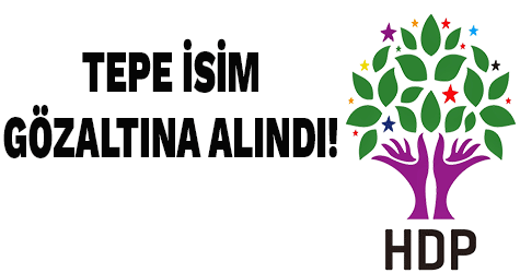 HDP Eş Genel Başkan Yardımcısı Alp Altınörs gözaltına alındı