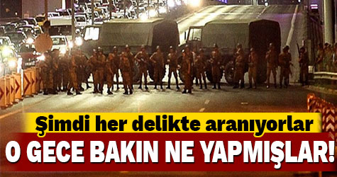 Onlar her yerde aranıyor