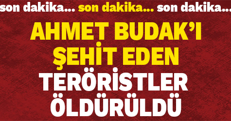 AK Partili Ahmet Budak’ı şehit eden teröristler öldürüldü