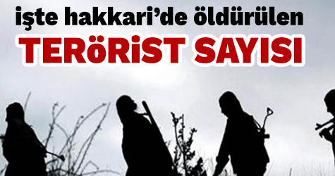 Hakkari'de Kaç Terörist öldürüldü? İşte cevabı