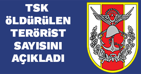 Öldürülen terörist sayısı 301’e yükseldi