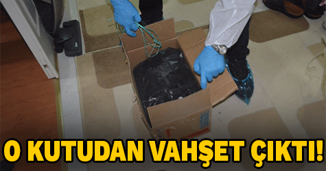 Koliden vahşet çıktı