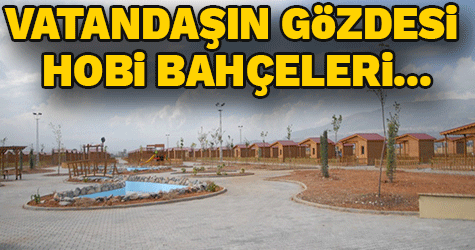 VATANDAŞLARIN GÖZDESİ, HOBİ BAHÇELERİ…