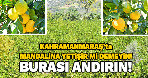 ANDIRIN’IN EN GÜZELİ