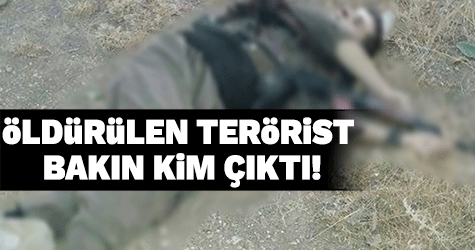 Ölü ele geçirilen PKK'lı terörist bakın kim çıktı