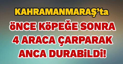 Önce Köpeğe Çarptı Sonra da…