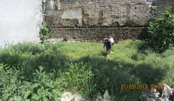 HAŞERE VE ZARARLILARLA MÜCADELE EDİLİYOR