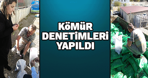 BÜYÜKŞEHİR KÖMÜR DENETİMİ YAPTI