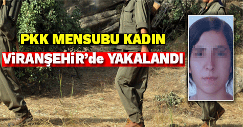 PKK'lı KADIN VİRANŞEHİR'de YAKALANDI!