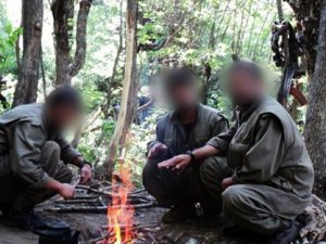 Teröristler Karadeniz'de böyle barınıyormuş