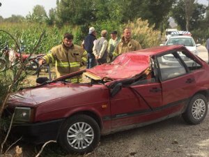 Seyir halindeyken üzerine ağaç devrdildi.