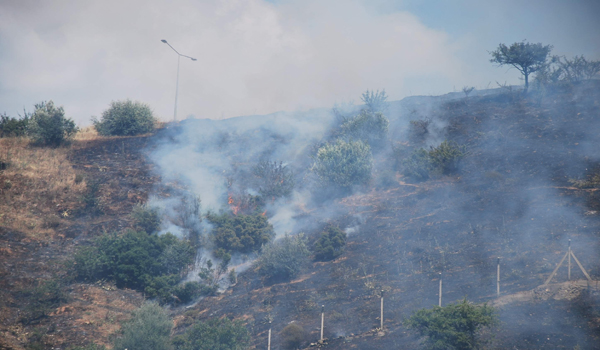 BUNUN ADI YANGIN DEĞİL VİCDANSIZLIK