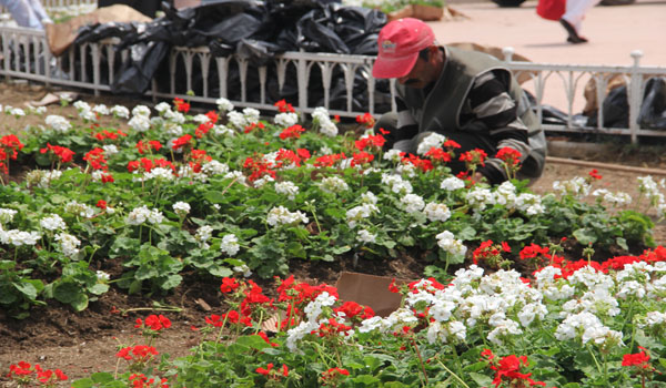TAKSİM MEYDANI YENİDEN ÇİÇEK AÇTI